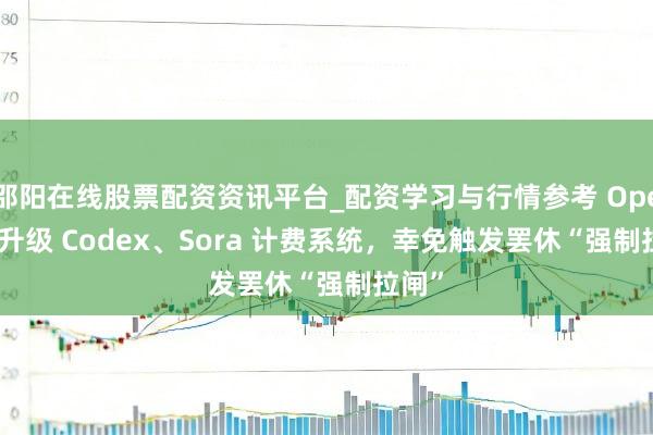 邵阳在线股票配资资讯平台_配资学习与行情参考 OpenAI 升级 Codex、Sora 计费系统，幸免触发罢休“强制拉闸”