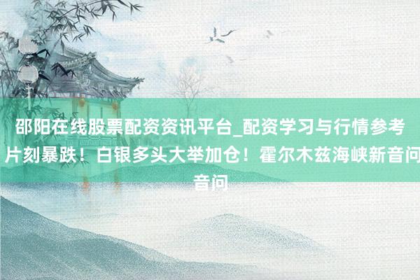 邵阳在线股票配资资讯平台_配资学习与行情参考 片刻暴跌！白银多头大举加仓！霍尔木兹海峡新音问